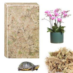 CONNECTION 190g Sphaigne Mousse Séchée Sphaigne pour Plante Sphaigne Fraîche Compressée Sphaigne Vivante Mousse Végétale Decorative pour Orchidées Terrarium Jardin Bonsaïs Reptile Amphibien (RUIH, neuf)