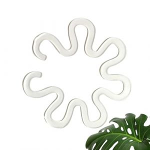 Porte-Tige Végétale - Planter Stand De Feuille | Monstera Plant Stead Support Grapple | Stabilisateur De Monstre De Coquille De Tortue Réutilisable | Clips De Support De Conservation des pour (Wang Yue Studio, neuf)