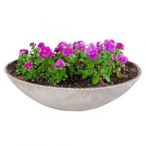matches21 HOME & HOBBY Grand bac à plantes pour l'extérieur de 45 cm – Beige sable marbré comme bac à fleurs résistant aux intempéries – Coupelle décorative (matches21 HOME & HOBBY, neuf)
