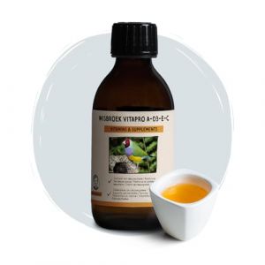 Wisbroek VitaPro A-D3-E-C (200 ml) (Wisbroek, neuf)