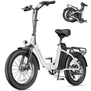 DYU C9 V&eacute;lo &Eacute;lectrique，20" Velo Electrique Homme avec 48V 15.6Ah Batterie,748.8WH, Moteur 250W, Ebike Autonomie Jusqu&rsquo;&agrave; 80-150KM，7 Vitesses, Velo Pliant Adulte,VTT Electrique Adulte Femme,Blanc (DYUofficial, neuf)