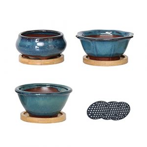 Jinfa 3 Pots à bonsaï en céramique émaillée avec Trous de Drainage | 3 Bases en Bambou + 3 écrans Maille | Turquoise (HDhomeart, neuf)