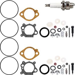 ZAMDOE 498260 Kit de r&eacute;vision de carburateur Joints 398183 490937 492495 493762 498261 pour Briggs & Stratton Moteur de Tondeuse &agrave; Gazon 12B800 12C700 12C800 12A800 (Lot de 2) avec Bougie d'allumage (ZAMDOE, neuf)