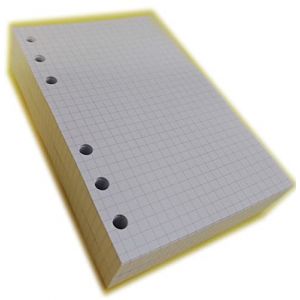 tipome.com Recharge de rechange 200 feuilles papier ivoire à carreaux – Format A6 Personal 10 x 17 cm pour agenda 6 anneaux (FiLOPLANNeR, neuf)