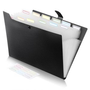 FRETONBA Trieur A4 13 Compartiments, Classeur Conception de l'&eacute;tiquette, Porte vue Bouton Rabattable Pour Prot&eacute;ger les Documents, Porte Document Mati&egrave;re Plastique, Rangement Papier Administratif, Noir (FRETONBA, neuf)