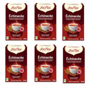 YOGI TEA Fruit rouge &agrave; la Vanille,Tisane Bio avec Baies Rouges, Fleur de Sureau, Vanille, D&eacute;caf&eacute;in&eacute;, Yogi Tea paquet de 6, 6x17 sachets (102 sachets de th&eacute;) (Pattern EU, neuf)