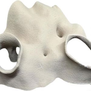 Cachette d'angle imitation racine de mangrove pour aquarium - Aspect naturel - Sans danger pour les reptiles et les crevettes - Matériau à base de plantes (Blanc-L) (LineFoforME, neuf)