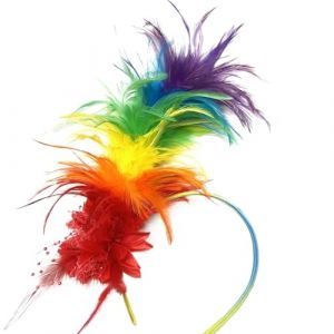 Generisch Serre-tête arc-en-ciel, plumes, multicolores, serre-tête pour carnaval, cosplay, perroquet, serre-tête (vyjtiup, neuf)