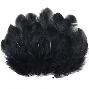Soarer Lot de 300 plumes naturelles noires artisanales en vrac de 7,6 à 12,7 cm pour mariage, maison, attrape-rêves, loisirs créatifs et fête d'Halloween (noir) (SOARER-US, neuf)