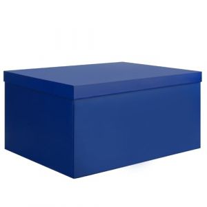 KISPATTI Bo&icirc;te de Rangement, Bleu Bo&icirc;tes Rangement avec Couvercle 38 x 28 x 19 cm Grand Bo&icirc;te Rangement avec Ruban Bo&icirc;tes Rangement Carton pour Maison Chambre Salon Bureau &Eacute;cole (GongDianMaoYi, neuf)