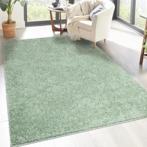 carpet city Shaggy Tapis de salon, à poils longs, motif uni, vert, 150 x 150 cm, carré, doux et moelleux, moderne, convient également à la chambre à coucher (carpetcity, neuf)