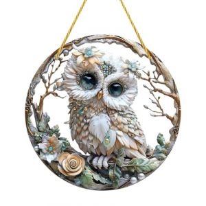 HUVZOR 1 pièce Suspension Suncatcher de Colibri, Coloré Attrape lumière en Acrylique, Décor de Suspension Oiseaux Décoration Murale, pour Chambre, Salon, Balcon, Décoration Jardin(Hibou) (Volumetech OU, neuf)