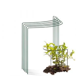 Novatool Lot de 5 supports pour arbustes en m&eacute;tal demi-rond &Oslash; 40 cm, hauteur 35 cm, vert, support pour plantes vivaces, support pour fleurs, support pour plantes grimpantes, support pour arbustes (AMP GmbH, neuf)