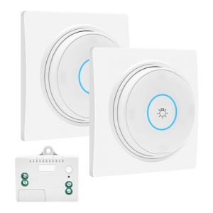 RUIZHI Lot d'interrupteurs d'&eacute;clairage sans fil RF &eacute;tanches - Sans batterie - Avec r&eacute;cepteur - Pour l'int&eacute;rieur et l'ext&eacute;rieur (2 interrupteurs et 1 r&eacute;cepteur) (shenzhenshiyaoxingmaoyi, neuf)