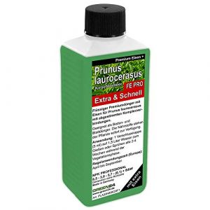 Prunus laurocerasus extra m&uuml;ller m&uuml;nchehof lauriers-nPK engrais &agrave; base de fer, engrais pour laurier plantes et les haies premium engrais liquide (green-24, neuf)