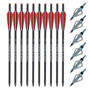 12 pi&egrave;ces Fl&egrave;ches d'arbal&egrave;te de 20 pouces, fl&egrave;che de chasse &agrave; l'arbal&egrave;te avec ailes de 3,8 "et pointes de fl&egrave;che remplac&eacute;es, Fl&egrave;ches d'arbal&egrave;te en Carbone et kit de t&ecirc;tes larges d'arbal&egrave;te de (Ting Hunter, neuf)
