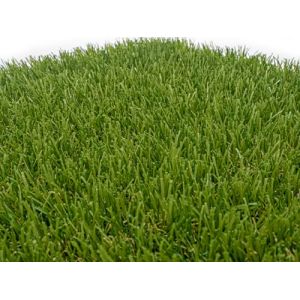 Gazon artificiel ARES, Pelouse Synthétique 30 mm, Dimensions 2 x 4 m (8 m2), Herbe Synthétique, « Le triomphe dans votre jardin », Livraison gratuite (THE WORLD AT YOUR FEET, neuf)
