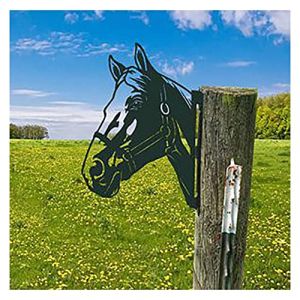 CCWORAN Ornement de jardin en métal pour clôture, décoration extérieure, maison, cheval, animal, sculpture, silhouette rouillée, décoration murale, cadeau (CCWORAN, neuf)
