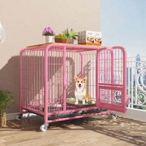 Cage pour chien - Cage pour chien - Cage pour chien - Avec roulettes - Facile à installer - Pour chiots, chiens de petite et moyenne taille - Acier épais (ZXWBD, neuf)
