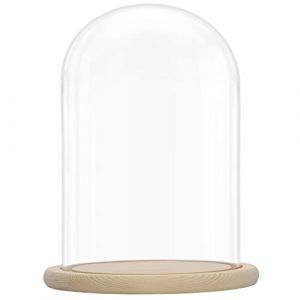 Belle Vous Cloche en Verre avec Socle en Bois Naturel - 31,5 cm - Cloche en Verre Décorative Transparente avec Plateau en Bois pour Lumières, Décorations de Table, Antiquités (Tinyyo Europe, neuf)