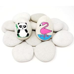 GALETS &agrave; Peindre Blanc Pierres gravier pour aquarium pierre d&eacute;coratives pierres de jardin blanches roches pierre naturelle gravier d&eacute;coratif pour d&eacute;coration de jardin (VELLES, neuf)