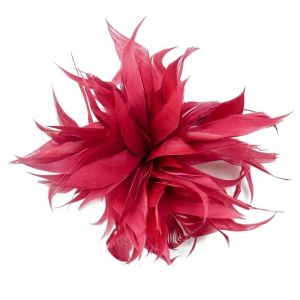 Épingle à plumes for écharpe, boucle, broche, clip, épingle à revers de Noël, broche, bijoux, badge en plumes et fleurs for femmes et filles(WR) (MAOXINBAIHUO, neuf)