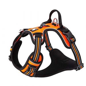 Harnais pour Chien No Pull Nylon Souple Réfléchissant Réglable pour Petit Grand Animal Domestique TLH56512(XS, Orange) (Truelove Pet Garment and Shoes Co.Ltd., neuf)