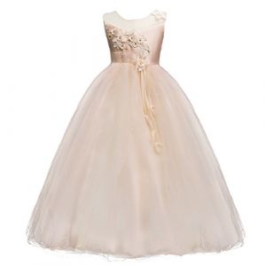 Enfant Fille Robe C&eacute;r&eacute;monie Longue en Dentelle Robe de Princesse Corsage Florale Fleur Costume Habill&eacute;e de Soir&eacute;e Mariage Demoiselle d'Honneur Bapt&ecirc;me F&ecirc;te Anniversaire Cocktail 12-14 Ans Champagne (IBTOMCASTLE, neuf)