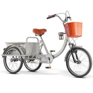 LSQXSS Tricycle Cargo avec Cabine arri&egrave;re, v&eacute;lo &agrave; 3 Roues avec Roues de 20 Pouces, Tricycle Adulte avec Double freinage, v&eacute;lo &agrave; Assistance &eacute;lectrique pour Les Loisirs, Le Shopping,Suspension Avant (BAIYULONGSHOP, neuf)