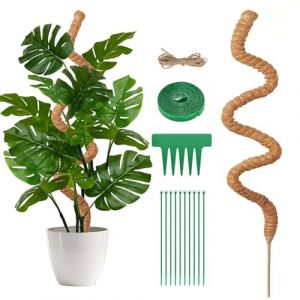 DXRPO Monstera Tuteur, 130cm Tuteur en Coco,Tuteur Flexible en Mousse pour Monstera avec Accessoires,Tuteur en Fibre de Coco pour Plantes Grimpantes Indoor (WinChange Home EU, neuf)