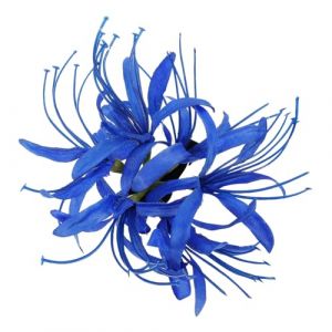 POPETPOP Pince &agrave; Cheveux Fleur Grosse Taille pour Femmes Pince M&acirc;choire R&eacute;sistante en Tissu et Plastique Accessoires Coiffure pour Cheveux &Eacute;pais et Fins Usage Quotidien et Occasions (Riser Treasure, neuf)