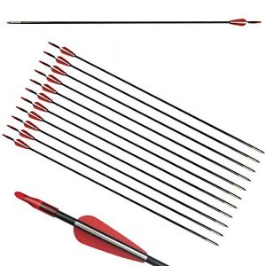 ZSHJG 12pcs Flèches en Fibre de Verre 31 Pouces Flèches d'entraînement de Cible Spine 900 Flèches de Chasse avec Flèche Carquois pour 35 Lbs Arc Recourbé Arc Long (Rouge) (Traveling Shop, neuf)