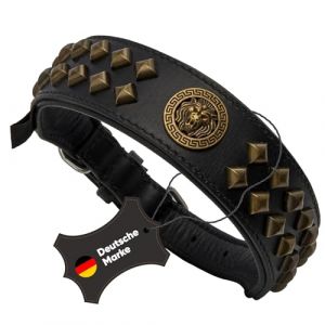Collier de Chien Noir MICHUR Diego Collier en Cuir Collier pour Chien Cuir avec Application tête de Lion Rivets Plats en Laiton Aklt Aspect Noir (MICHUR, neuf)