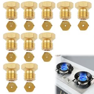 Comioke 10 Pièces Gicleur Gaz Butane, Gicleur Gaz Bouteille, Injecteur Gaz Butane pour Cuisinière à Gaz de Brûleur au Propane (2×0.5mm, 4×0.7mm, 2×0.87mm, 2×1.02mm) (RONG LII, neuf)