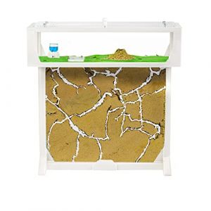 AntHouse - Fourmiliére de Sable | Kit T Big 3D 25x20x1,5 cm | Ferme de Fourmis Blanc | Colonie de Fourmis Incluse (AntHouse, neuf)