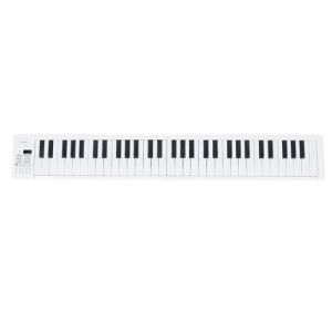 Piano Pliable à 61 Touches, Clavier électrique avec Touches Pleine Taille, Fonction D'enregistrement, Clavier de Piano Numérique pour Débutants (Jeamrytt, neuf)