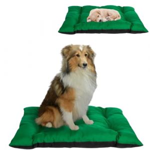 Anwicar Coussin pour Animaux, lit pour Animaux, Coussin Chien 1 pièce, lit Chat, Matelas Animaux, Taille XXL 80 cm x 120 cm, Couleur Verte, matériau imperméable (Anwicar, neuf)