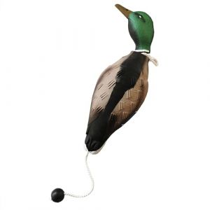 Pyuyan Factice Canard de Dressage de Chien, Jouets D'entra&icirc;nement de Chasse pour Chiens, Accessoires pour Chiens de Chasse pour La Formation Le Chien de Chasse Retriever Comp&eacute;tences (Csffyzs, neuf)