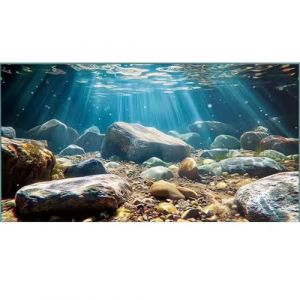 Didooou Fond d'aquarium paysage naturel, 30 cm, 40 cm, 50 cm, 60 cm, 80 cm (océan-1, 30 x 50 cm) (ZYfeng, neuf)