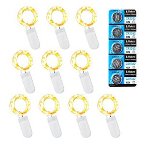 LEECOCO Lot de 10 Guirlandes Lumineuses à Piles, 1m 10 LEDs Blanc Chaud Haute Luminosité Mini LED, Idéales pour Vacances, Mariage, Fête, (10 Pack 1m 10 LEDs,Blanc Chaud) (LEECOCO STORE, neuf)