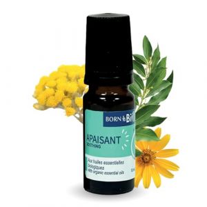 BORN TO BIO Roll-On Apaisant Bio &ndash; Huiles Essentielles d&rsquo;Arnica & H&eacute;lichryse &ndash; Confort & D&eacute;tente Cutan&eacute;e &ndash; Application Cibl&eacute;e &ndash; 10 ml &ndash; Fabriqu&eacute; en France (Born To BIO, neuf)