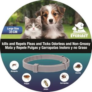 Tempotech Original ® Collier antiparasitaire Chien - Collier leishmaniose - 8 Mois de Protection - Contre Les puces, tiques, moustiques, acariens et poux - Collier Vermifuge (38cm 4 Unidad) (Tempotech, neuf)