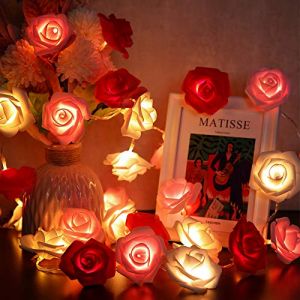 Hiboom Guirlande Lumineuses de Fleurs, 6,6 ft 20 LED Guirlandes de Lumières de Fée de Roses Artificielles à Piles pour Fête Mariage (Fleur Rouge, Rose, Clanche avec Lumière Blanche Chaude) (CrownRow, neuf)