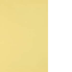 Netuno 10x carton jaune clair 250g papier d&eacute;coratif A3 297x420mm Burano Giallo id&eacute;al pour cartes de voeux scrapbooking bricolage invitations art et artisanat anniversaire DIY loisirs cr&eacute;atifs (netuno, neuf)