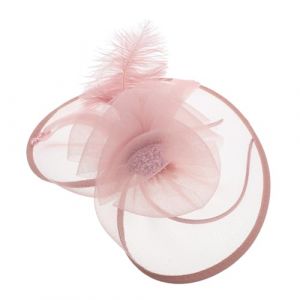 OATIPHO Chapeau Bibi Pour Femme Ornement De Cheveux Bibi Coiffe De Mari&eacute;e D&eacute;coration De Cheveux Fascinateur De Perles Accessoire De Coiffure Pour F&ecirc;tes Et Banquets (Tsun Ki-sung, neuf)