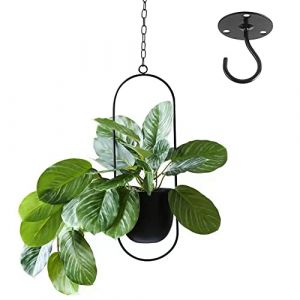 VDYXEW Pot de fleurs à suspendre en métal - Pot de décoration à suspendre - En métal - Noir - Pour plantes d'intérieur, plantes succulentes, plantes aériennes, noir - 1 paquet (Minstores, neuf)