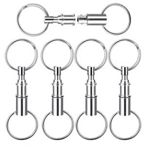 Aster Lot de 5 porte-cl&eacute;s amovibles &agrave; lib&eacute;ration rapide avec double anneau, ressort fendu, mousqueton s&eacute;par&eacute;, fermoir &agrave; bouton-pression pour sac, sac &agrave; main, voyage, maison, bureau, argent, Argent&eacute; (scholarluo, neuf)