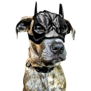 Ricomso Masque de chauve-souris pour chien – Masque amusant de style chauve-souris pour chien, accessoire de déguisement en plastique léger pour Halloween, cosplay et fêtes d'animaux domestiques (FUNMlik, neuf)