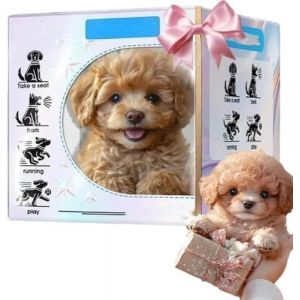 Générique Chien Robot,Chien Interactif,Chien Qui Marche Et Aboie,Animal De Compagnie Interactif Intelligent Qui Marche, Aboie Et Remue L'ia for Adultes, Cadeau (A6) (meshowp, neuf)