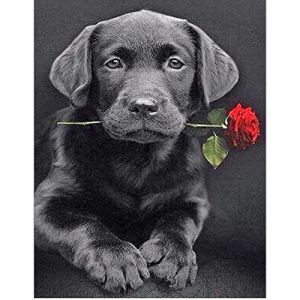 DCIDBEI Diamond Painting Square Drill 40x50 cm 5D Diamond Painting Chien Labrador Rose Mosaïque Diamant Chien Broderie Diamant Carré Carre DIY Toile Perles Diamant Animaux Peinture par Numéros (BEIMIN, neuf)